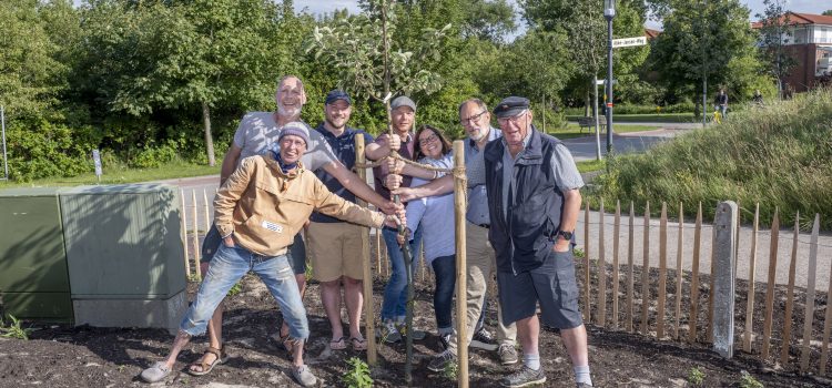 Wattführer übernehmen Patenschaft für Apfelbaum