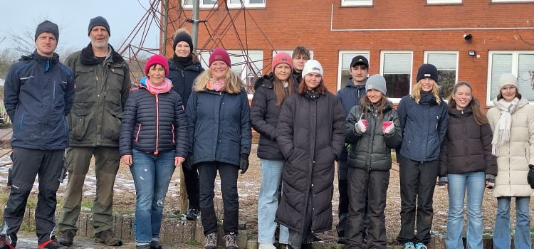 Bäume für den Schulhof