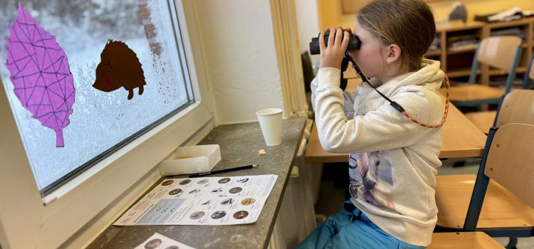 Vögel zählen bei Frost und Schnee